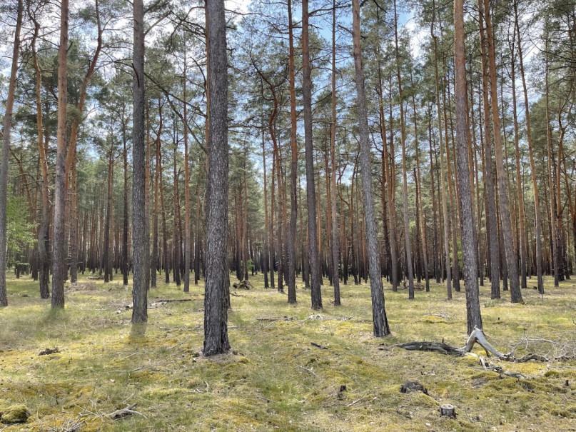 plush74 kiesgrube berlin 30 (1)