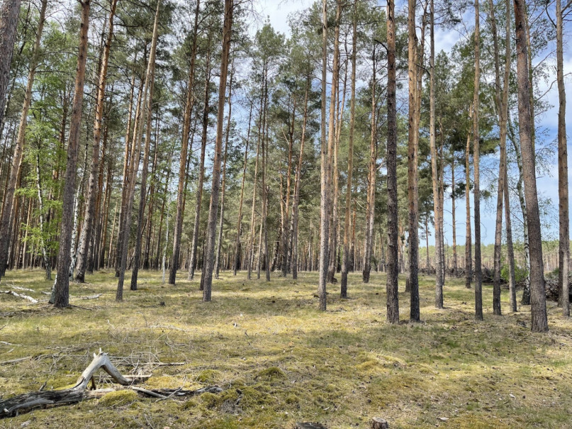 plush74 kiesgrube berlin 32 (2)