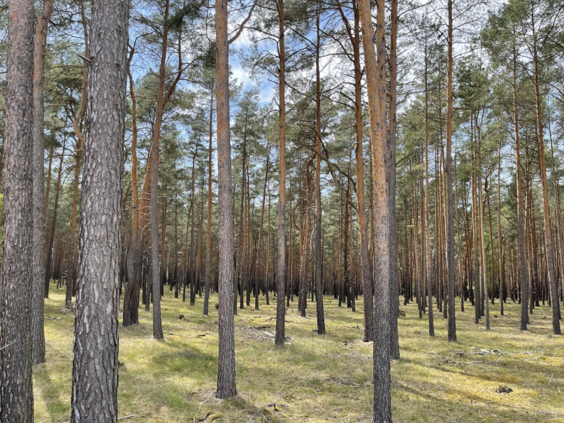 plush74 kiesgrube berlin 32