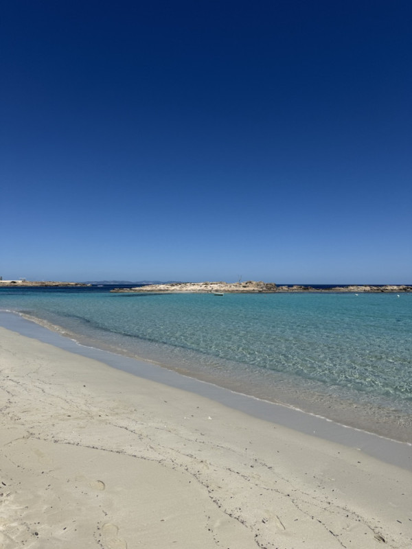 plush74 ibiza beaches 2