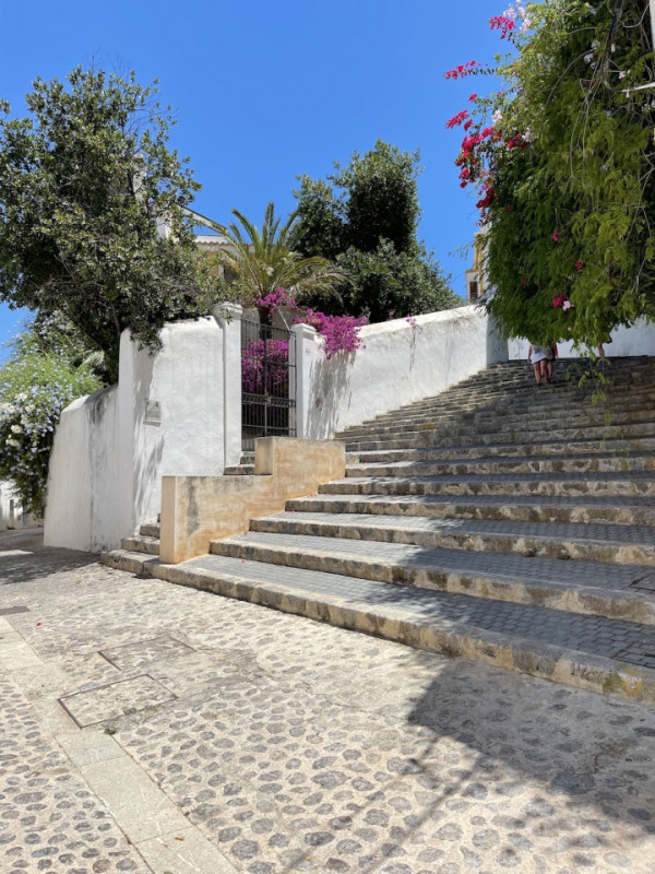 plush74 ibiza beaches 4