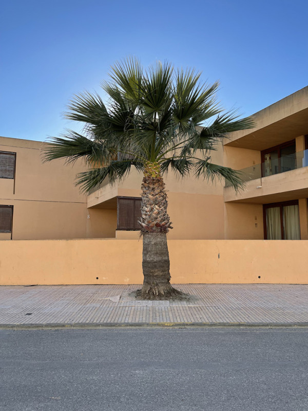 plush74 ibiza scout location agency photo film graphic streets15