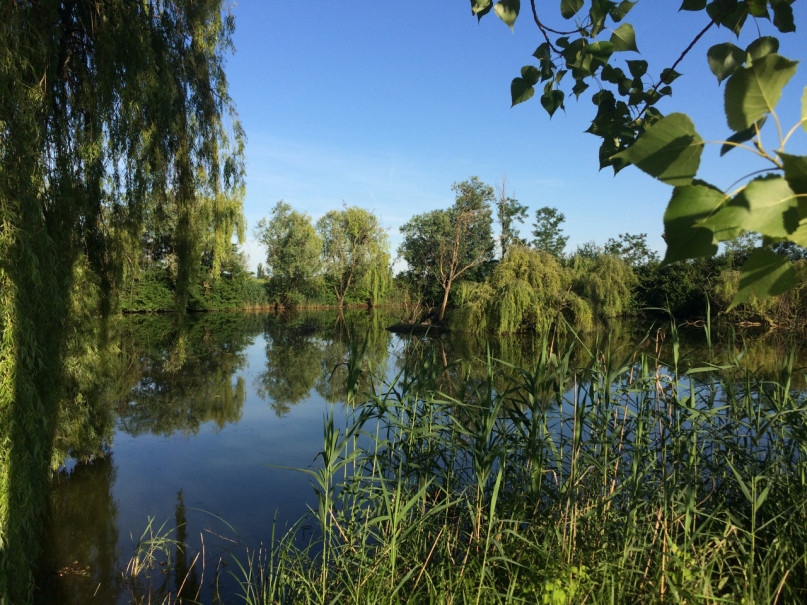 plush74 italian palazzo 42