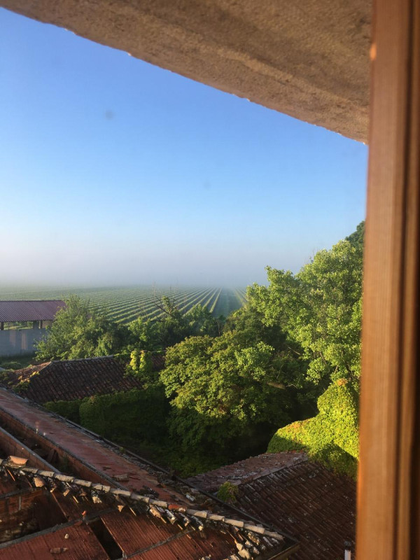 plush74 italian palazzo 61 (3)