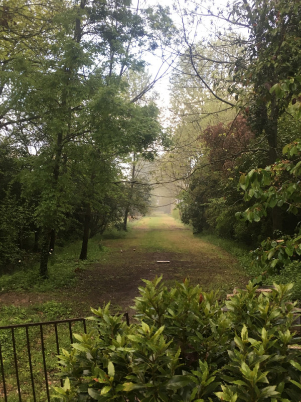 plush74 italian palazzo 72