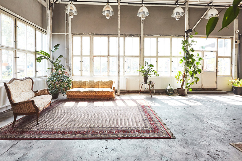 plüsch74 kaos berlin 3