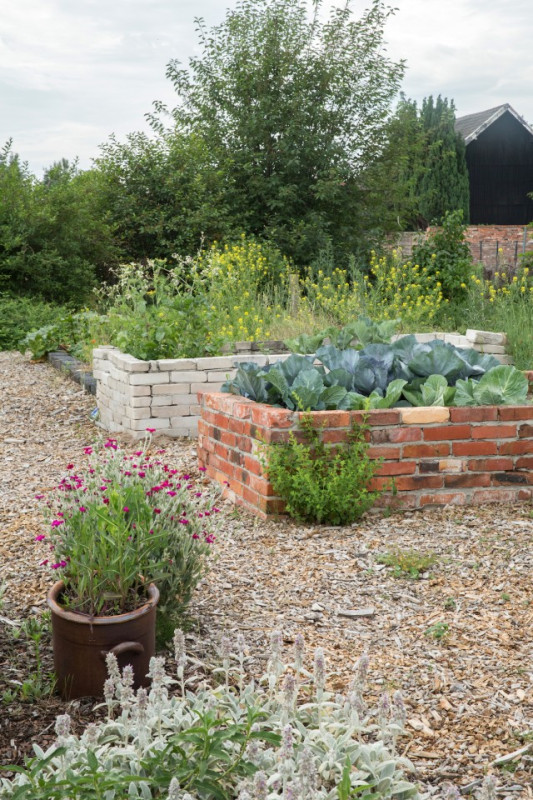 felpa74 localización película foto cottbus alemania granja10