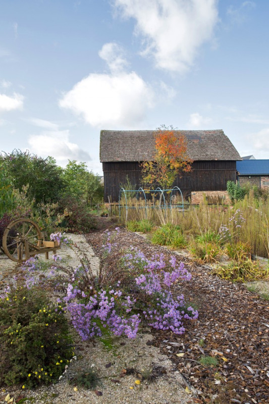 felpa74 localización película foto cottbus alemania granja11