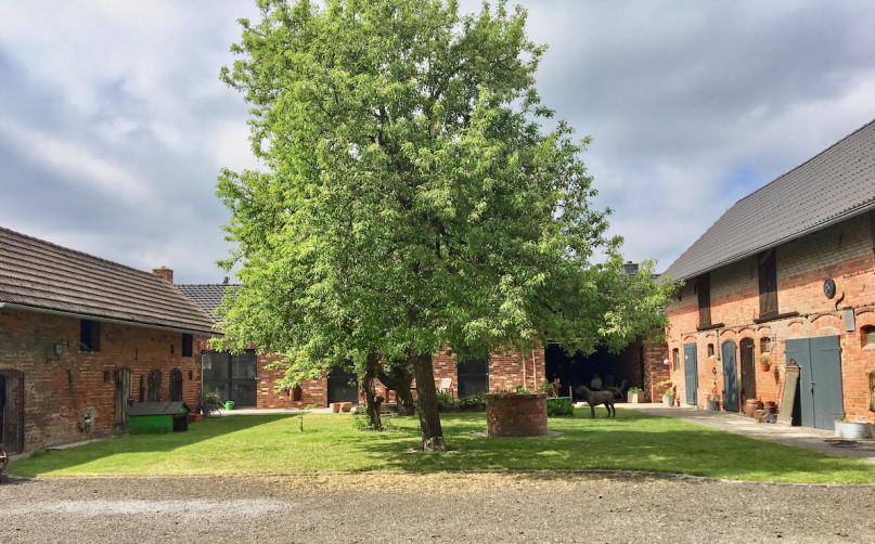 felpa74 localización película foto cottbus alemania granja62