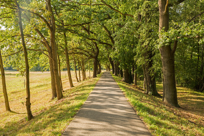 pluche74 locatie film foto cottbus duitsland house4