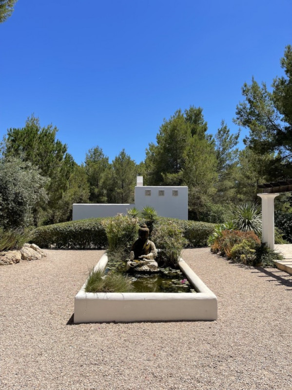 plush74 location film photo ibiza spain design finca800033