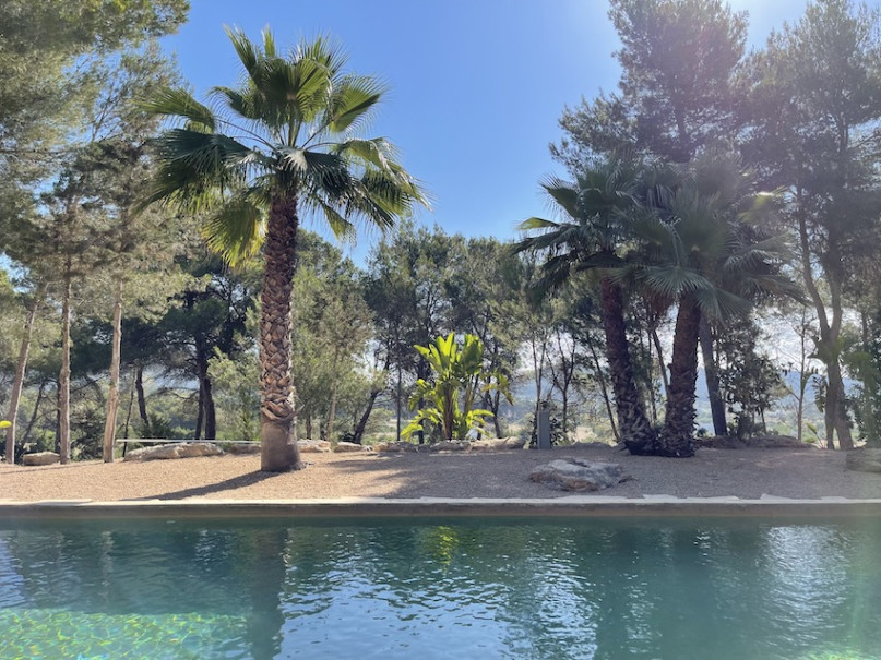 plush74 location film photo ibiza spain design finca800044