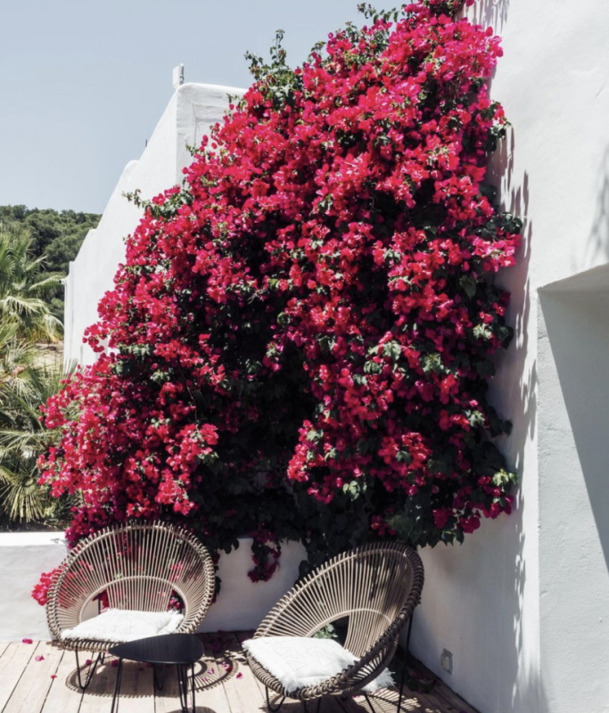 felpa74 localización película foto ibiza españa villa evento espacio00032