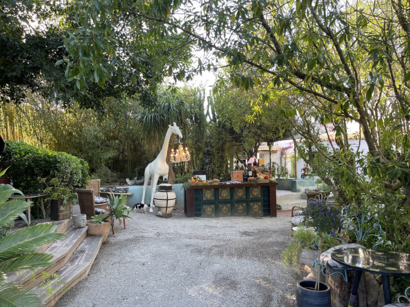 plush74 location ibiza restaurant garden film photo event17