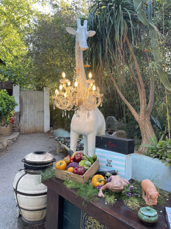 plush74 location ibiza restaurant garden film photo event84