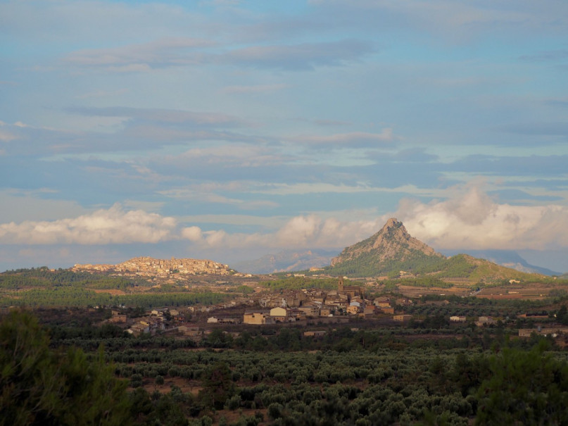 plush74 location photo film architecture conrete nature office madrid spain14