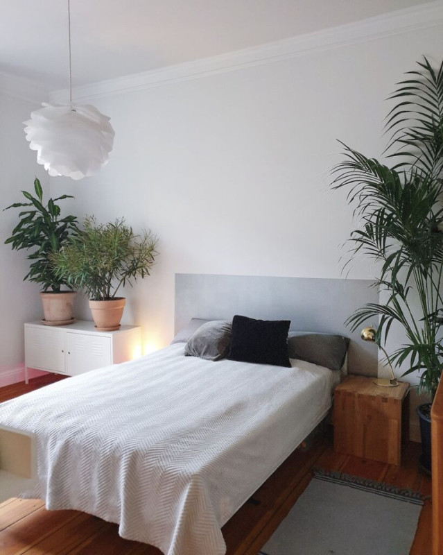 plush74 location photo film berlin event location apartment berlin germany altbau13