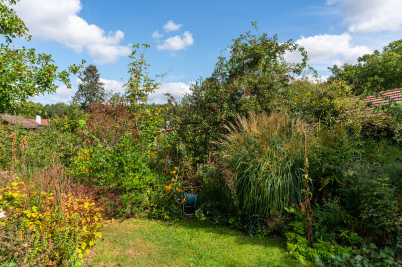 felpa74 localización foto película berlín localización de eventos berlín jardín zona exterior12