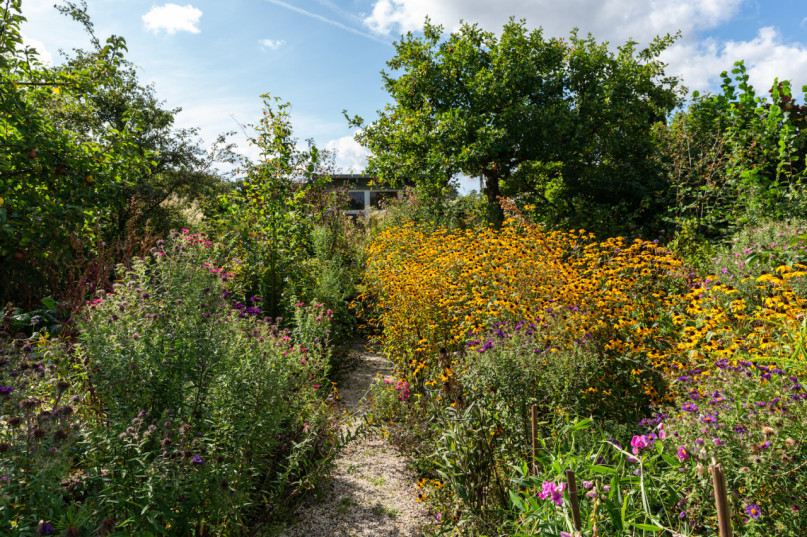 felpa74 localización foto película berlín localización de eventos berlín jardín zona exterior23