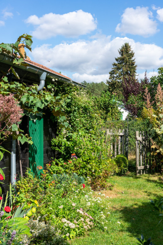 felpa74 localización foto película berlín localización de eventos berlín jardín zona exterior29