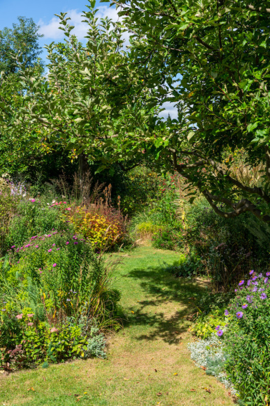 felpa74 localización foto película berlín localización de eventos berlín jardín zona exterior30