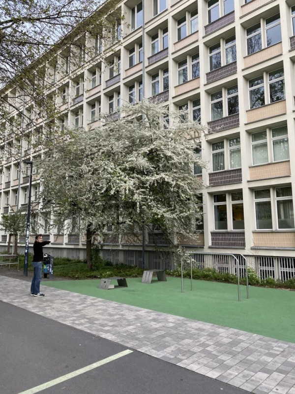 peluche74 lugar foto película evento berlin alemania calistenia 6