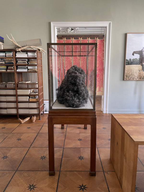 felpa74 lugar foto película evento casa apartamento alemania berlin17