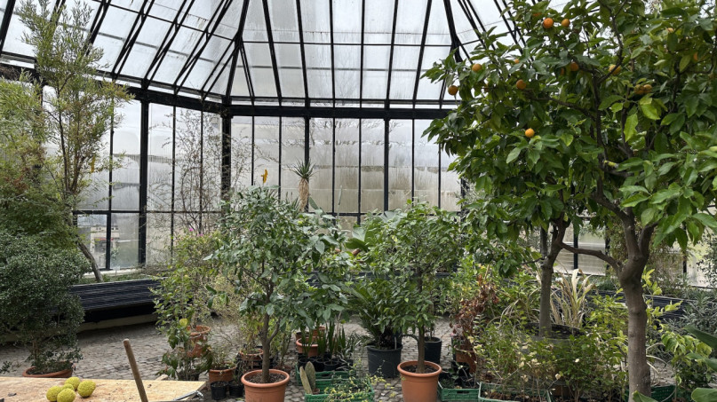 plush74 location photo film event switzerland zurich greenhouse tropical plants 199