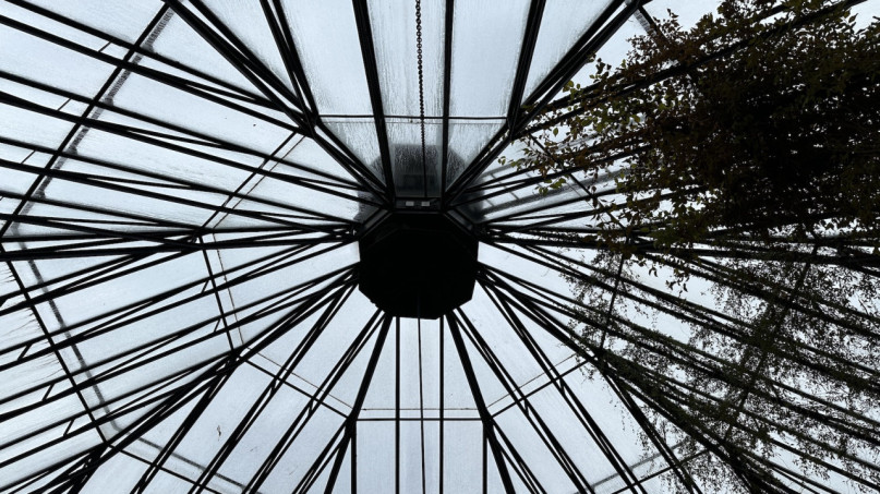 plush74 location photo film event switzerland zurich greenhouse tropical plants 202
