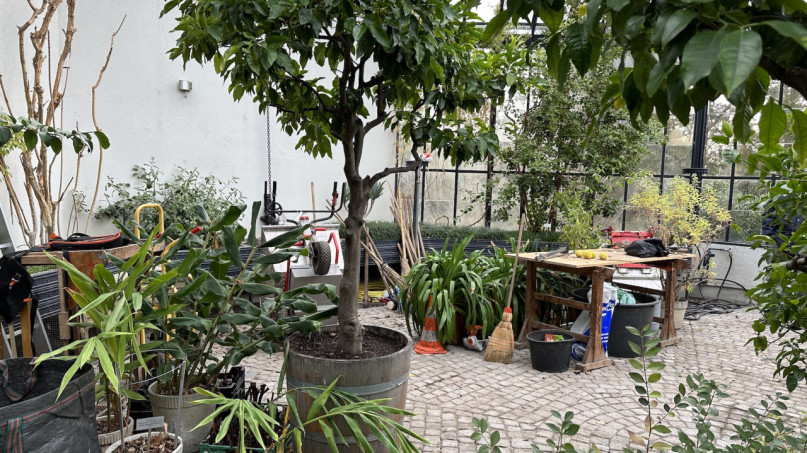 plush74 location photo film event switzerland zurich greenhouse tropical plants 211