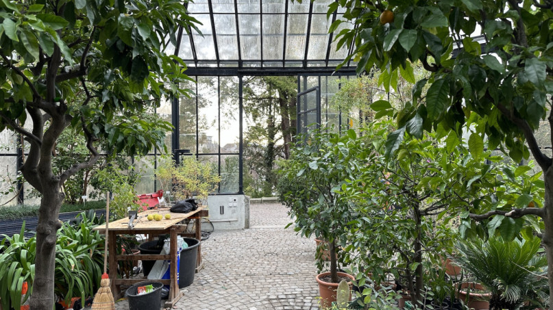 plush74 location photo film event switzerland zurich greenhouse tropical plants 214