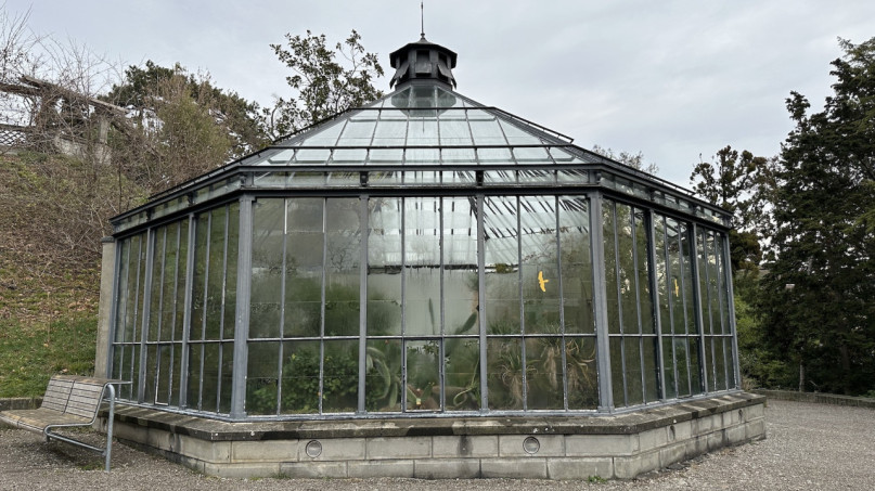 plush74 location photo film event switzerland zurich greenhouse tropical plants 226