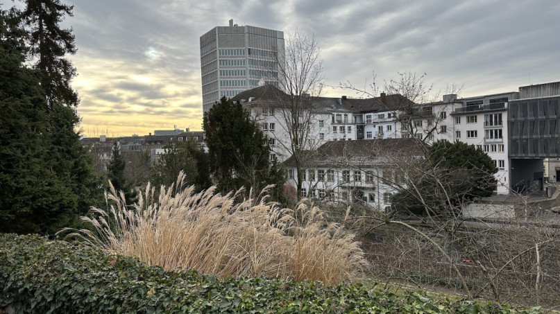 plush74 location photo film event switzerland zurich greenhouse tropical plants 232