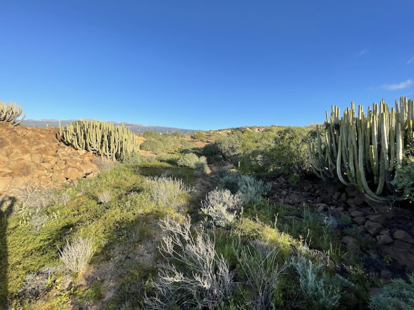 peluche74 lugar foto película españa tenerife00018