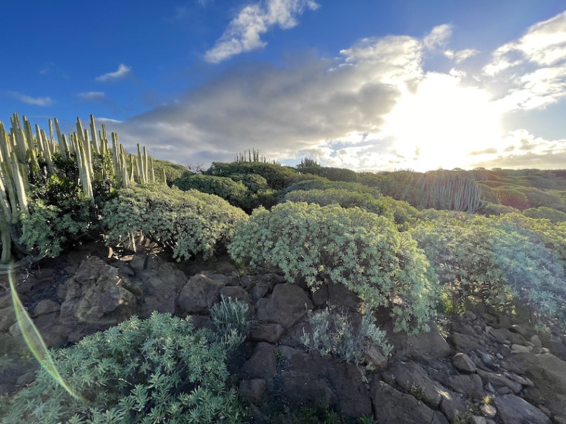 peluche74 lugar foto película españa tenerife00019