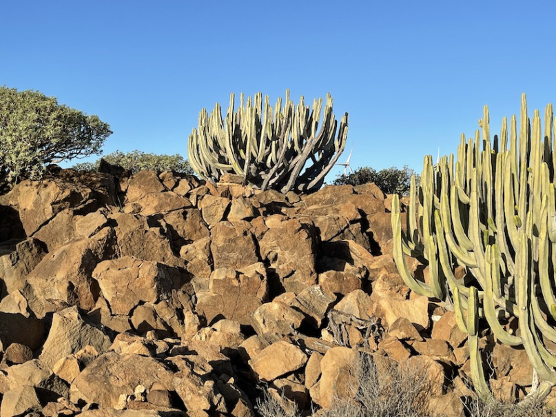 peluche74 lugar foto película españa tenerife00020