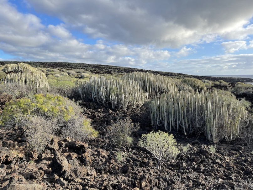 peluche74 lugar foto película españa tenerife00023