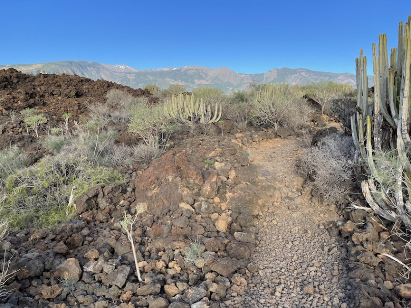 peluche74 lugar foto película españa tenerife00029