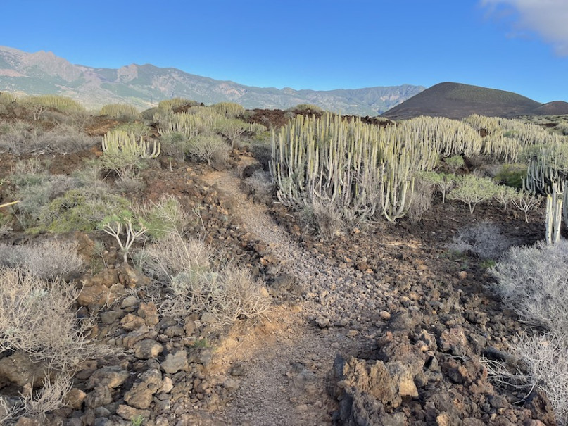 peluche74 lugar foto película españa tenerife00030