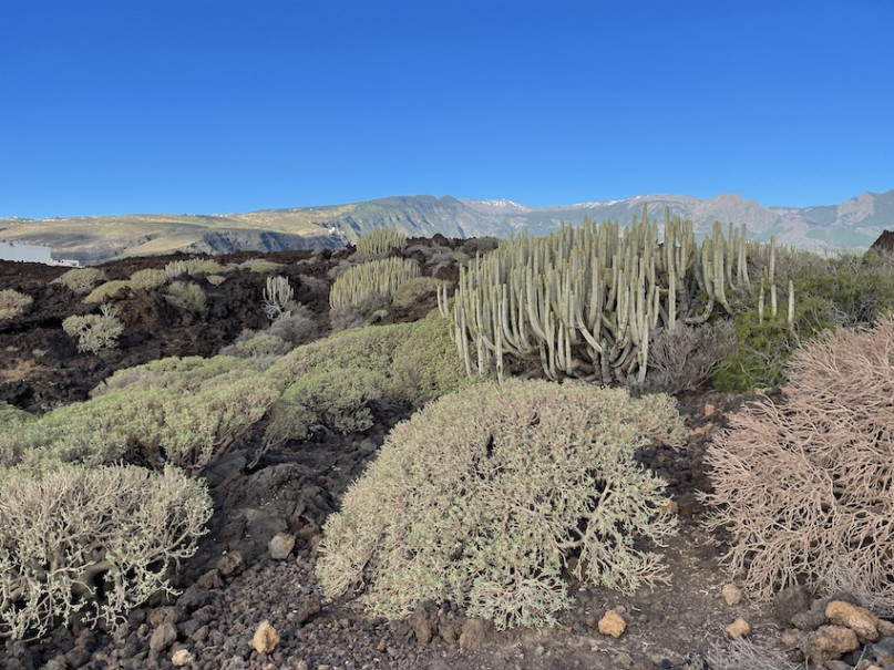 peluche74 lugar foto película españa tenerife00032
