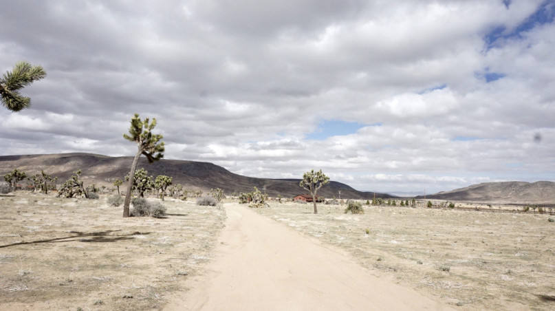 plush74 location scout rental photo film production las vegas usa10 (1)