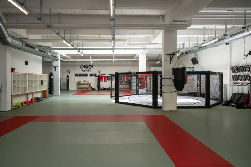 felpa74 lugares alemania berlin deportes foto urbana película fenriz gymjpg11