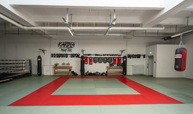 felpa74 lugares alemania berlin deportes foto urbana película fenriz gymjpg5