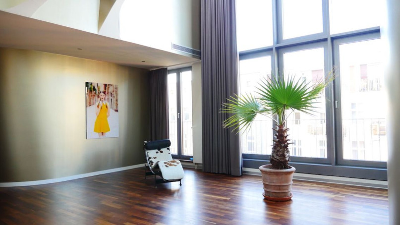 plush74 luxury penthouse mitte 5