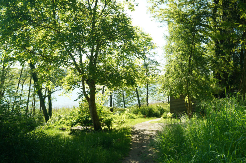 plush74 magisches Haus am See 21