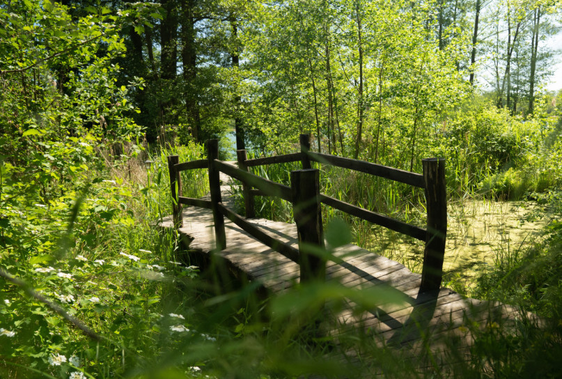 plush74 magisches Haus am See 27