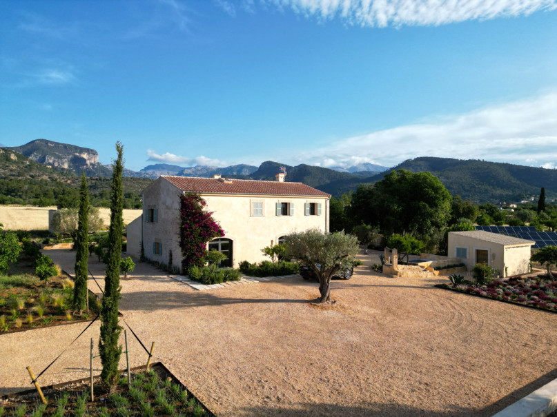 peluche74 mallorquin magic 17