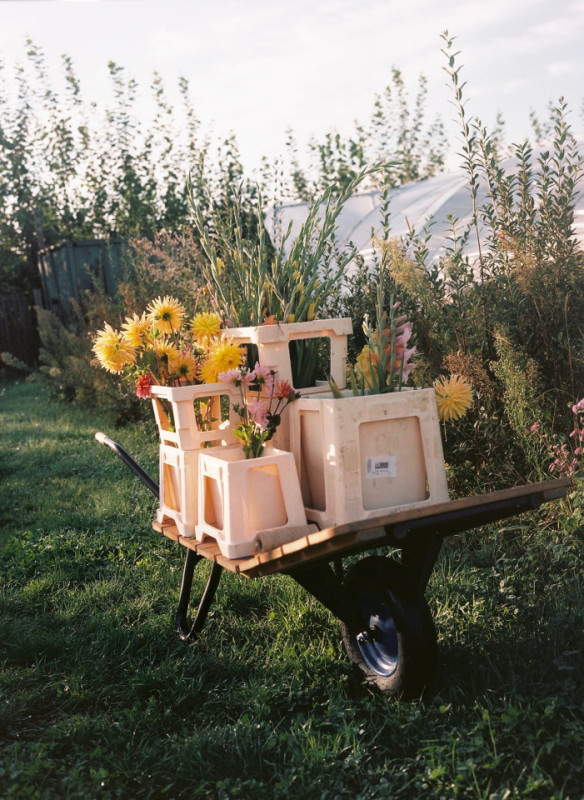 plush74 marsano feld 2(1)