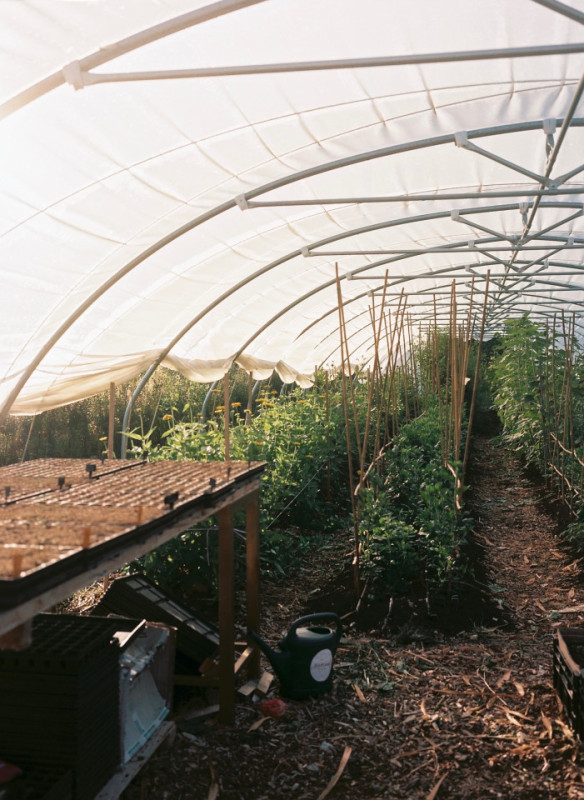 plush74 marsano feld 7(1)