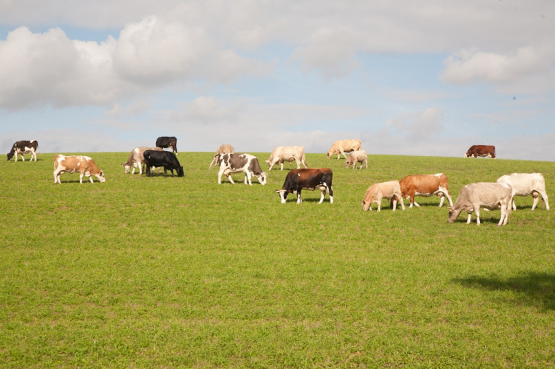 plüsch74 modernes haus berlin brandenburg landschaft bauernhaus natur see vermietung scout film foto location17